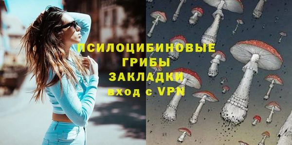 эйфоретик Михайлов