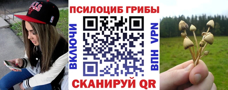 Псилоцибиновые грибы прущие грибы  хочу наркоту  Сорск 