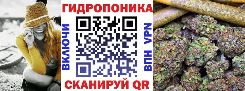 как найти закладки  Сорск  Шишки марихуана сатива 